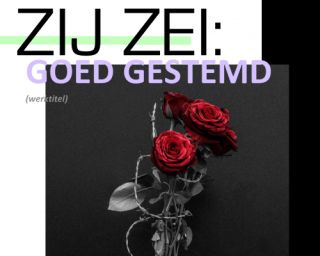Poplab Drenthe - goed gestemd